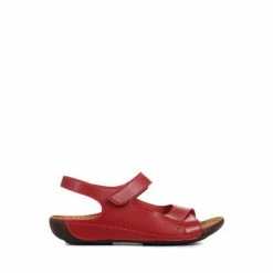 Pavers Ladies Touch Fasten Sandals White -Pavers Sales Store unnamed file 2411